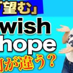 【感動】ネイティブに”Wish”と”Hope”の違いを聞くと超スッキリしました 〔#224〕