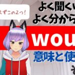 【英語】 ネイティブがよく使う「Would」 の意味と使い方1