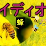 英会話 イディオム(空を飛ぶ動物 Part 2a) 蜂 – ネイティブが使う重要な6選