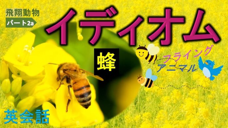 英会話 イディオム(空を飛ぶ動物 Part 2a) 蜂 – ネイティブが使う重要な6選