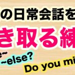 【英語の日常会話を聞き取る練習】３種類の英語フレーズSome~, Do you mind~?, ~elseを使ったフレーズに特化【耳だけを頼りに聞き流し英語学習　第８弾】