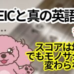 TOEICで英語力の全てを測ることは出来ません。でもTOEICが重視される限り、TOEICスコアと真の英語力がイコールになる日は来ないのです。「大人の英語初心者が話せるようになる！モモスケ英会話」