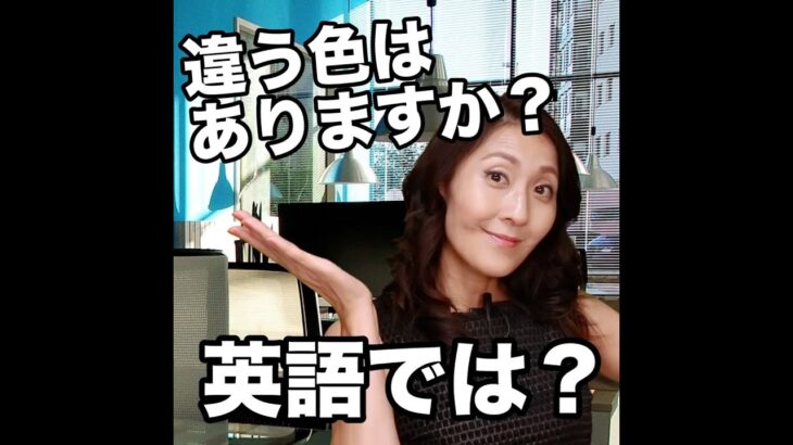 【違う色はありますか？  英語では？】「動画で観る！聴く！英語辞書動画」