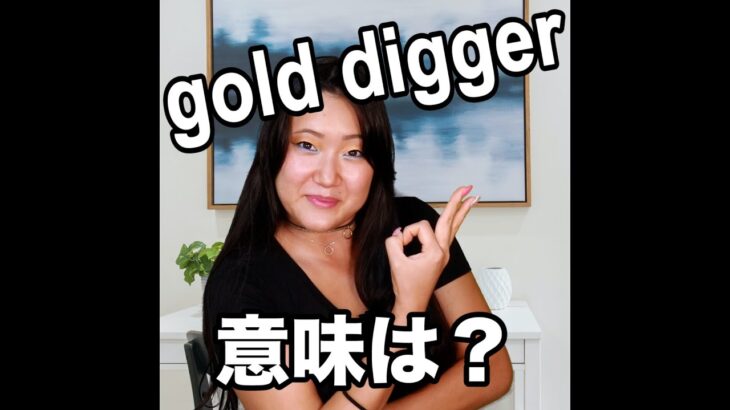 【Gold digger  意味は？】「動画で観る！聴く！英語辞書動画」