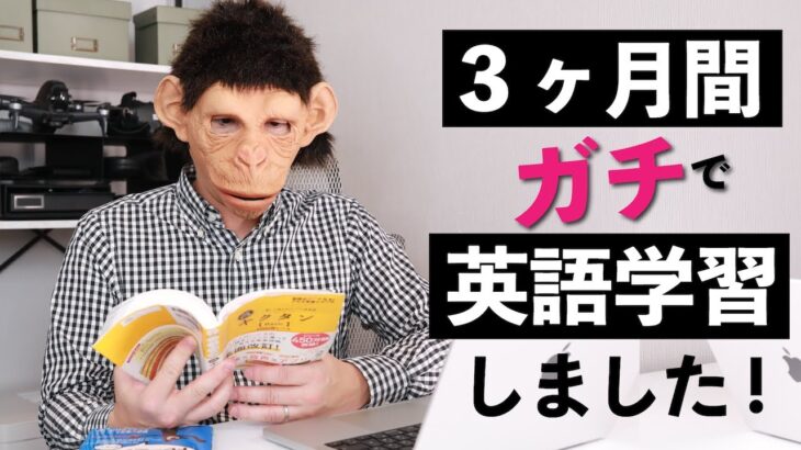 ３ヶ月ガチで英語を勉強した結果… 最近の夫の英語力！〔#991〕