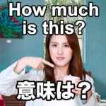 【How much is this? 意味は？】「動画で観る！聴く！英語辞書動画」