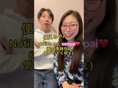 実はアメリカ人も使う日本語「Senpai(先輩)」#Shorts