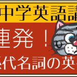 [やり直し中学英語㉚]レベル3まで到達できる？関係代名詞の英作文にチャレンジ！[初心者向け]