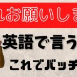 【英会話初級の方の罠】聞き流しでない英会話。結局英語でなんて言いたいの？　これお願いします。を英語で言うと？