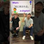 『昨夜蚊に刺されました』は英語で何？ 初心者向け英語ボキャブラリー 英単語 英会話アシュフォート #Shorts #英検 #TOEIC #ビジネス英語