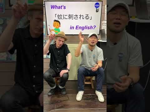 『昨夜蚊に刺されました』は英語で何？ 初心者向け英語ボキャブラリー 英単語 英会話アシュフォート #Shorts #英検 #TOEIC #ビジネス英語