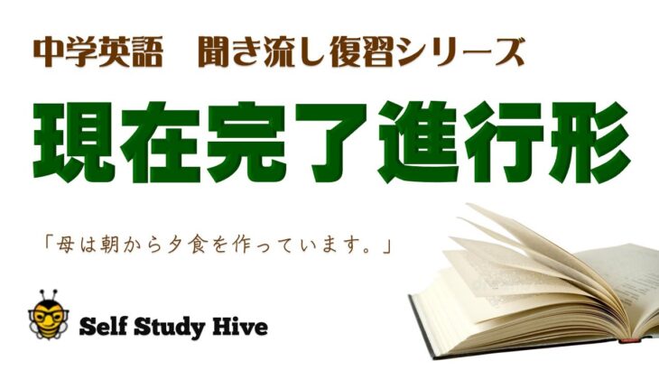 中学英語：〈現在完了進行形〉聞流し復習動画　リスニング・スピーキング練習　テスト直前対策　英語の感覚を養う