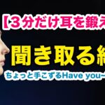 【３分だけ耳を鍛える】英会話で使うHave you~?を聞き取る練習