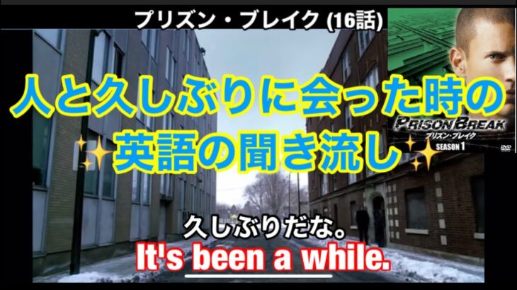 【親しい人と久しぶりに再会した時の英語の聞き流し✋🏻】ドラマ『プリズン・ブレイクPrison Break』英会話