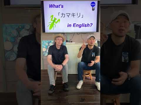 『この部屋の中にカマキリがいる』は英語で何？ 初心者向け英語ボキャブラリー 英単語 英会話アシュフォート #Shorts #英検 #TOEIC #ビジネス英語 #時事英語#英語学習 #大学入試