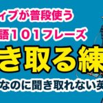 ネイティブが普段使う英語１０１フレース【日常英会話を聞き取る練習】ランダム第14弾