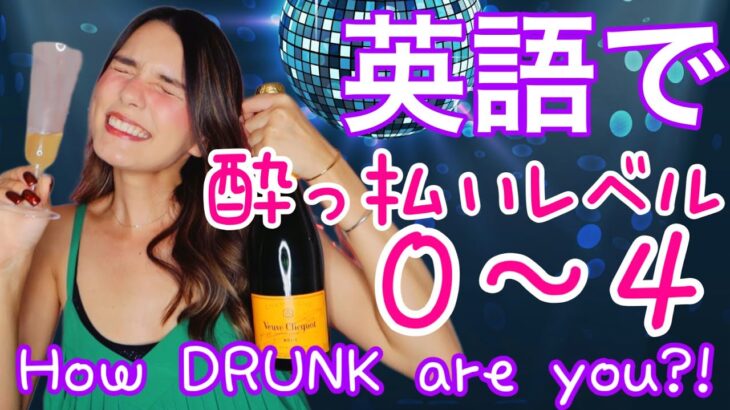 【日常英会話】酔っ払いレベル！Drunk in English?!【アメリカ英語】