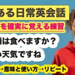 【よくある日常英会話６０場面を確実に覚える練習】５日目（英語がペラペラになるための学習方法と覚え方）【学習のコツ→意味と使い方→リピート練習】