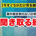 【今すぐ５分だけ英語の耳を鍛える】ネイティブが普段使う日常英語を聞き取る練習（和訳音声なし版）