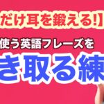 【5分だけ耳を鍛える！】日常で使う英語を聞き取る練習（英語音声４回ずつ和訳音声なし）（2023年の英語学習）