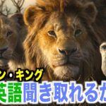 【初心者向け】ライオン・キング聞き取れるかな？ディズニー映画で英会話を学ぼう「Lion King (2019)」