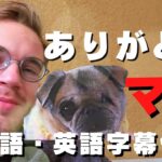 【日常英会話】マヤありがとう　#日本語字幕 #英語字幕 #pewdiepie