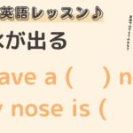 英語初心者向け☆”鼻水が出る”を英語でいうと？24粒英語レッスン♪