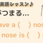 英語初心者向け☆”鼻がつまる”を英語でいうと？24粒英語レッスン♪