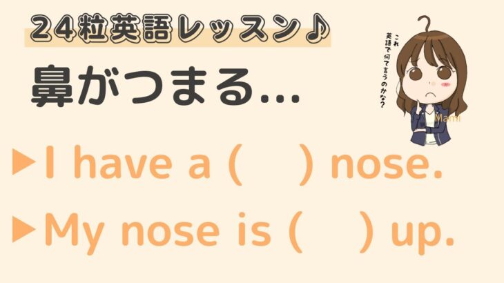 英語初心者向け☆”鼻がつまる”を英語でいうと？24粒英語レッスン♪