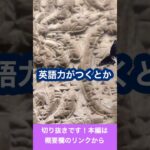 英会話スクール、英語学校でTOEIC点数は上がる？メリットとデメリット【第２６話】切り抜き part3