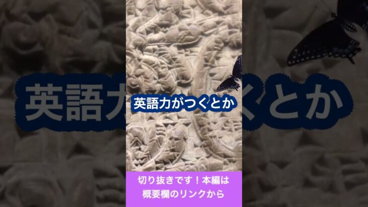 英会話スクール、英語学校でTOEIC点数は上がる？メリットとデメリット【第２６話】切り抜き part3