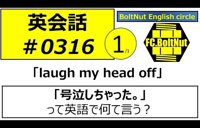 英会話316 1/1 230703　号泣しちゃった。　I cried my eyes out.