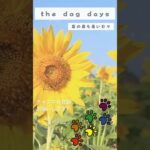 【英語慣用句】「the dog days / 夏の最も暑い日々」#toeic #英会話 #英文法  #英検 #英語学習 #英検 #英語慣用句