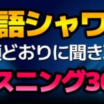 【聞き流し】語順どおりに聞き取る英語シャワー　たっぷりリスニング30分（サイトトランスレーション）