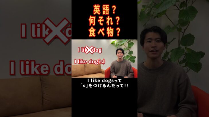 I like dog は間違い！？#shorts #英語 #viral #trending