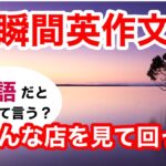 瞬間英作文340　英会話「いろんな店を見て回った」英語リスニング聞き流し