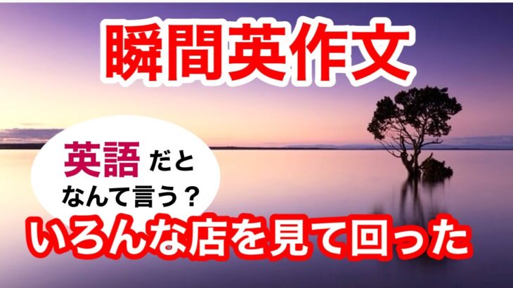 瞬間英作文340　英会話「いろんな店を見て回った」英語リスニング聞き流し