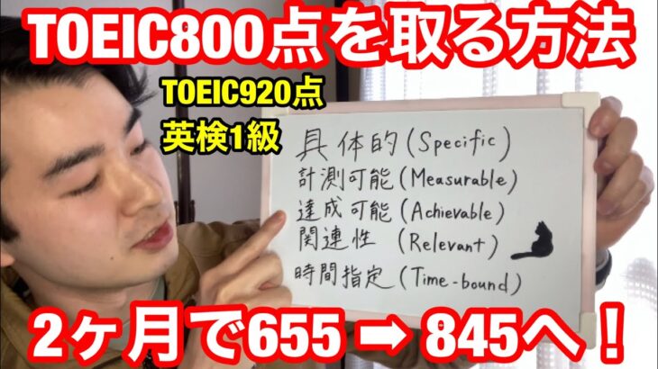 【TOEIC】2ヶ月で800点を取る方法｜４ステップで解説【簡単】