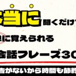 【広告なし英会話聞き流し】ネイティブがよく使う英会話30フレーズ