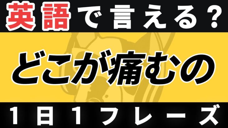 【瞬間英作文】1日1フレーズ「どこか教えて」日常英会話 リスニング聞き流し【153】