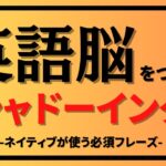 【英語シャドーイング】#14　#speaking #スピーキング#英語 #英語学習 #英語勉強 #toeic #リスニング  #英会話#作業用bgm #作業用