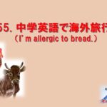 中学校英語教材　255. 中学英語で海外旅行④（I’m allergic to bread.)