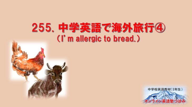 中学校英語教材　255. 中学英語で海外旅行④（I’m allergic to bread.)