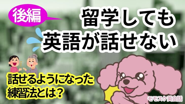 外国人にはしどろもどろ。今では日常英会話に困らず、映画の字幕に出ない小さなギャグに笑えるようになるまで成長した彼女の英語練習法とはどのようなものなのか？「オトナの英語初心者でも話せる！モモスケ英会話」