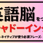 【英語シャドーイング】#15　#speaking #スピーキング#英語 #英語学習 #英語勉強 #toeic #リスニング  #英会話#作業用bgm #作業用