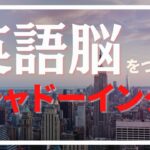 【初心者の方向け🔰】#16　#speaking #スピーキング#英語 #英語学習 #英語勉強 #toeic #リスニング  #英会話#作業用bgm #作業用