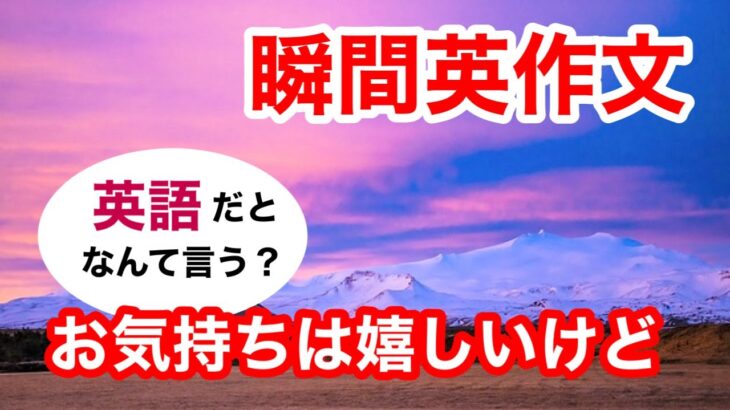 瞬間英作文378　英会話「お気持ちは嬉しいけど。。」英語リスニング聞き流し