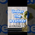 ネイティブ英会話フレーズ「under the weather」