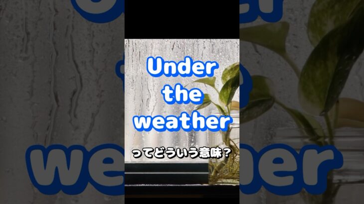 ネイティブ英会話フレーズ「under the weather」