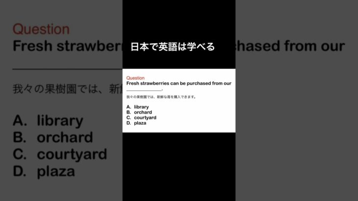 日本で英語は学べる　#toeic #英会話 #英語 #englishlearning #英語耳 #shorts